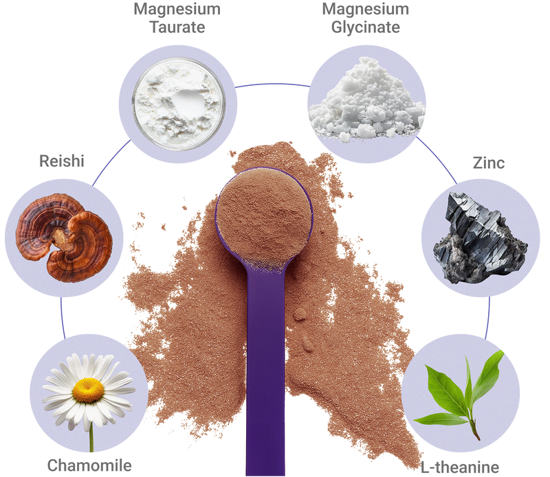 Diagram of MoonBrew scoop with ingredients: magnesium taurate, glycinate, zinc, L-theanine, chamomile, reishi