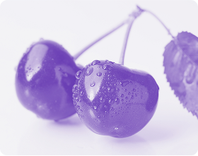 Close-up of tart cherries showcasing water droplets on a pale purple background