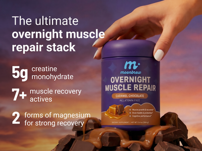 Front view of Overnight Muscle Repair jar held by a hand, overlay text highlighting 5g creatine, 7+ muscle recovery actives, and 2 forms of magnesium with chocolate pieces and sunset background
